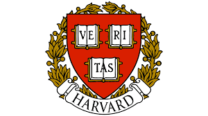 system logo